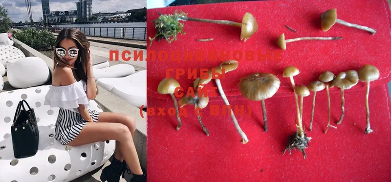 Галлюциногенные грибы Magic Shrooms  blacksprut tor  Нефтекамск 